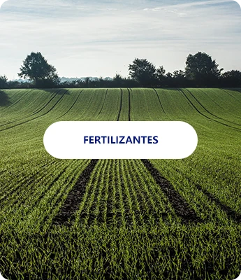 Fertilizante