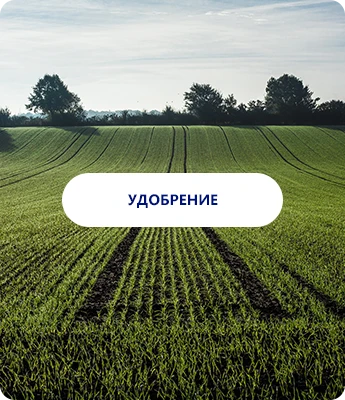 Удобрения