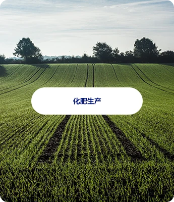 Fertilizer